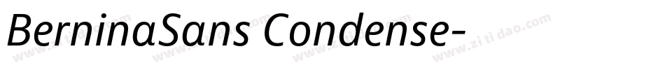 BerninaSans Condense字体转换